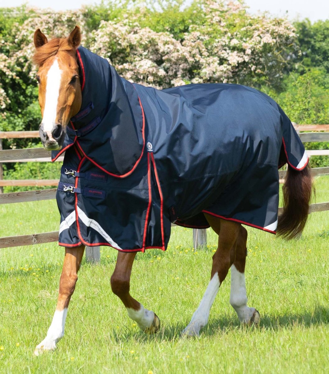 Buster 250g Turnout Rug with Classic Neck Cover | PEI - Active Equine