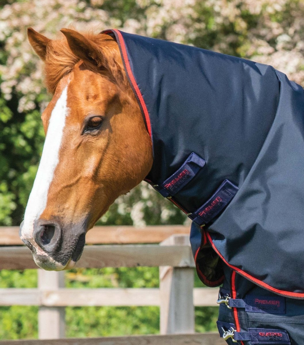 Buster 250g Turnout Rug with Classic Neck Cover | PEI - Active Equine