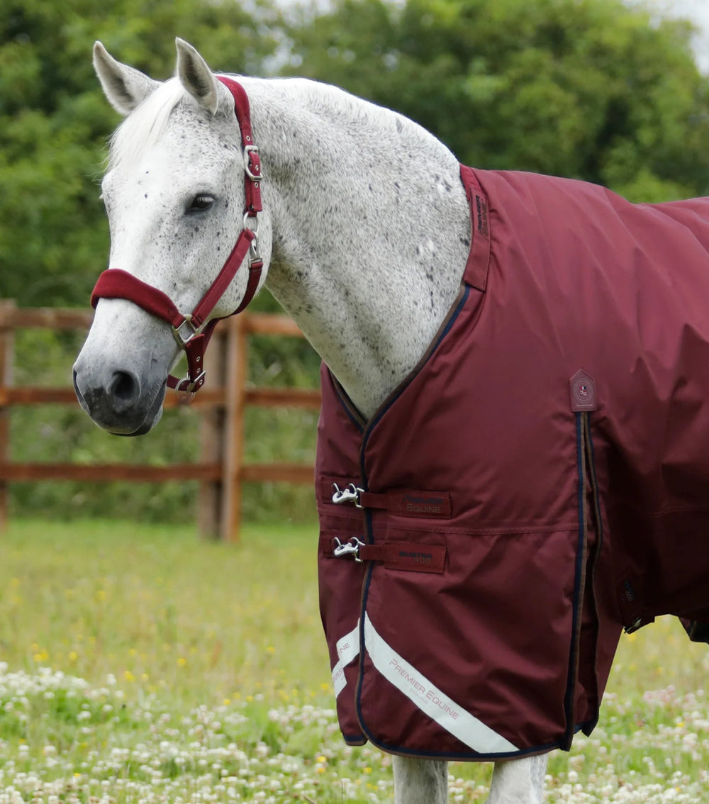 Buster 400g Turnout Rug with Snug-Fit Neck Cover | PEI - Active Equine