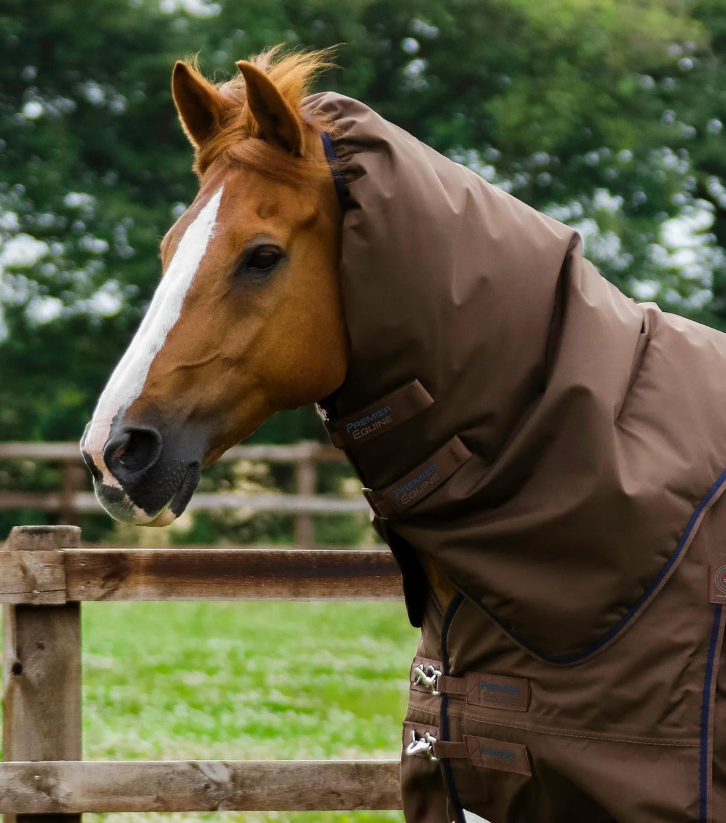 Buster 400g Turnout Rug with Snug-Fit Neck Cover | PEI - Active Equine