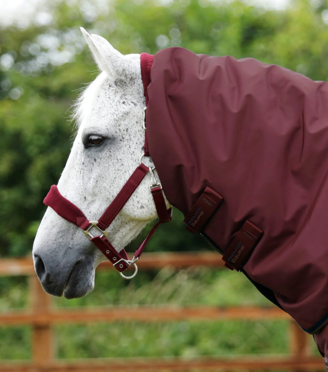 Buster 400g Turnout Rug with Snug-Fit Neck Cover | PEI - Active Equine