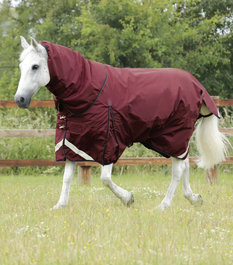 Buster 400g Turnout Rug with Snug-Fit Neck Cover | PEI - Active Equine