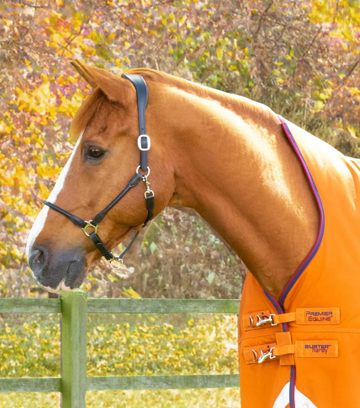 Buster Hardy 200g Half Neck Turnout Rug | PEI - Active Equine