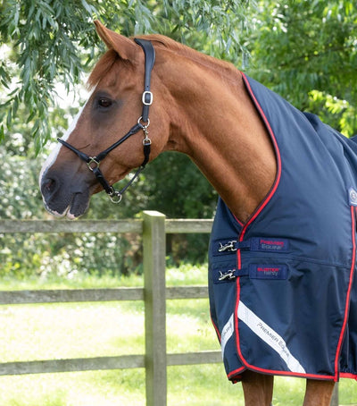 Buster Hardy 200g Half Neck Turnout Rug | PEI - Active Equine