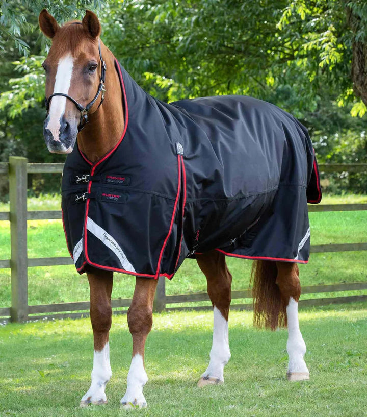 Buster Hardy 400g Half Neck Turnout Rug | PEI - Active Equine