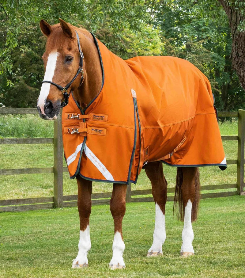 Buster Hardy 400g Half Neck Turnout Rug | PEI - Active Equine