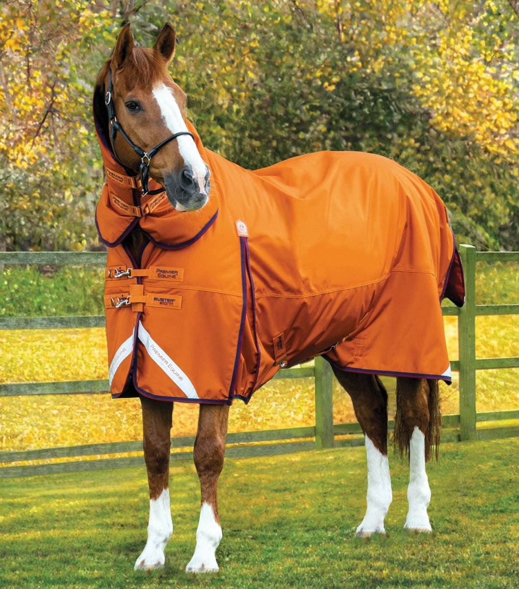 Buster Storm 200g Combo Turnout Rug with Classic Neck | PEI - Active Equine