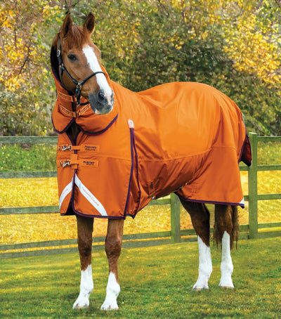 Buster Storm 200g Combo Turnout Rug with Classic Neck | PEI - Active Equine