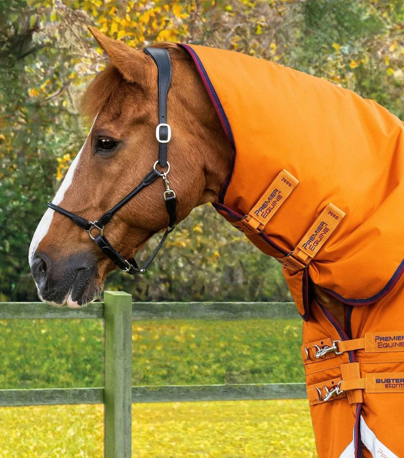 Buster Storm 200g Combo Turnout Rug with Classic Neck | PEI - Active Equine