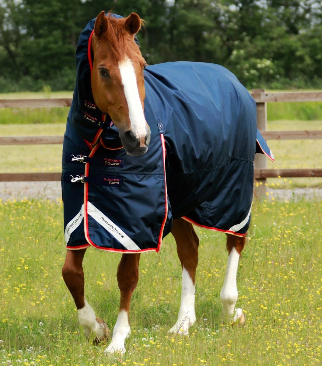 Buster Storm 200g Combo Turnout Rug with Snug-Fit Neck | PEI - Active Equine