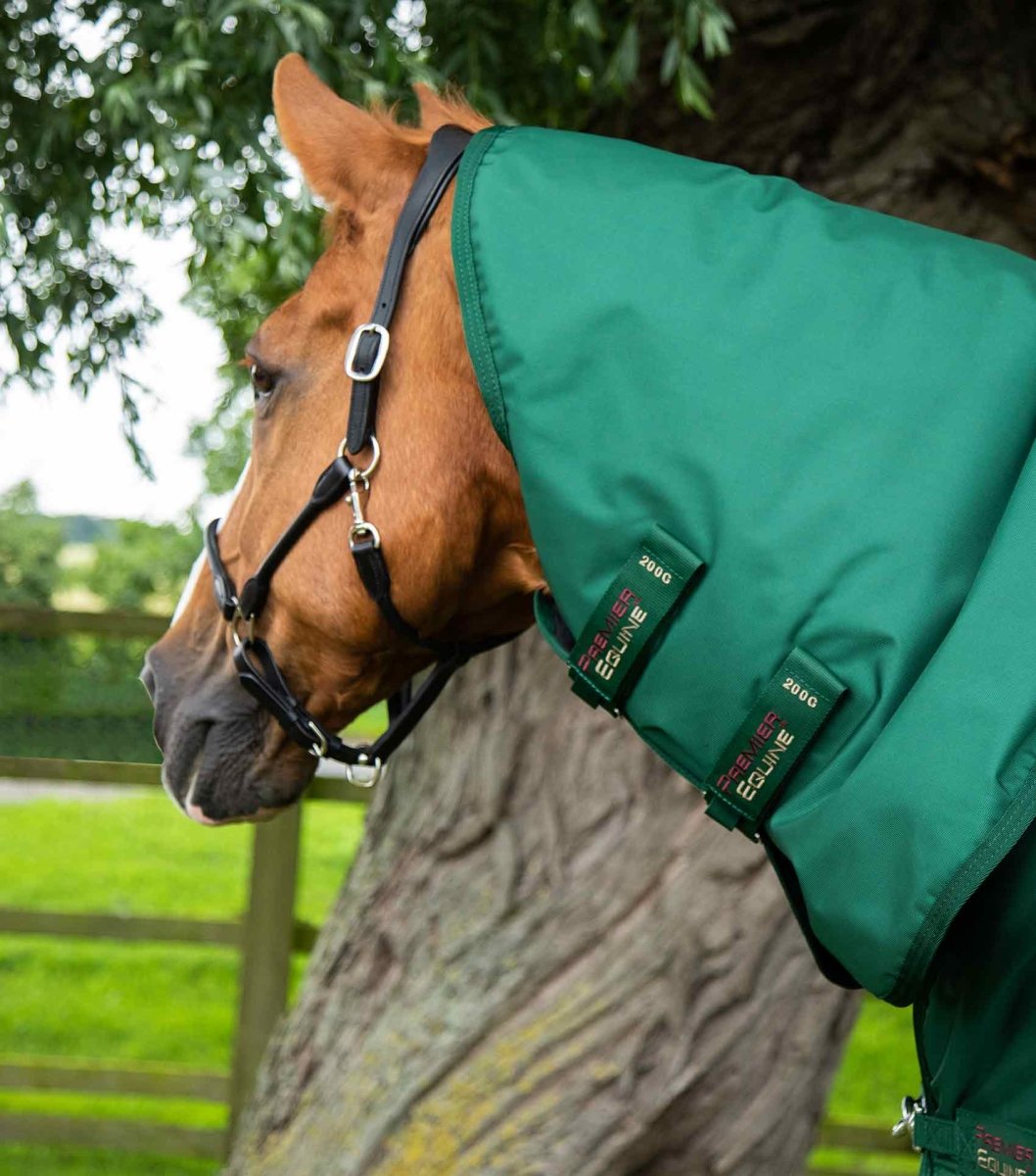 Buster Storm 220g Combo Turnout Rug with Classic Neck | PEI - Active Equine