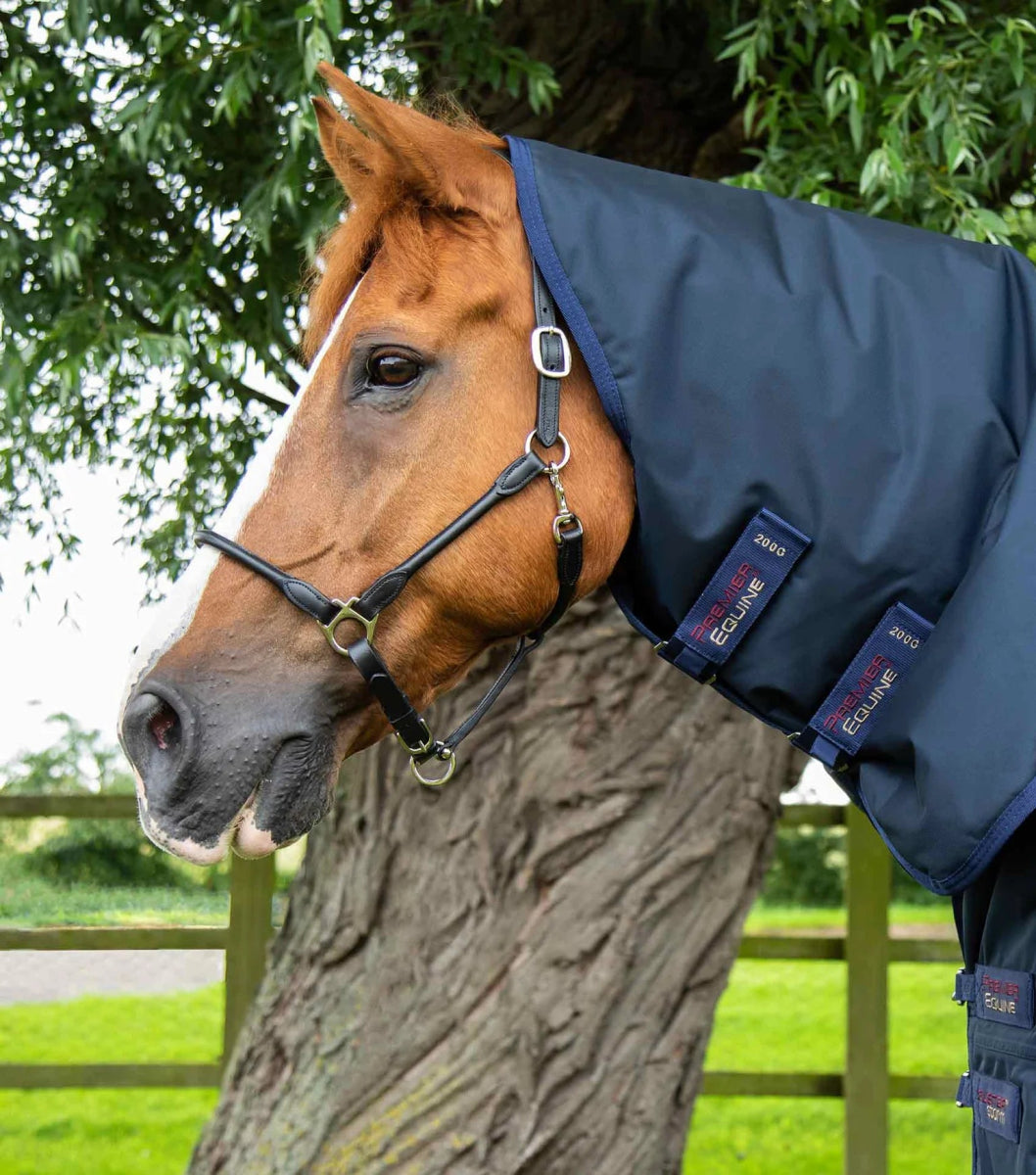 Buster Storm 220g Combo Turnout Rug with Classic Neck | PEI - Active Equine