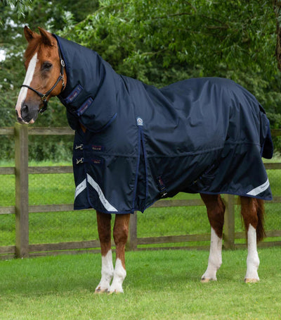 Buster Storm 220g Combo Turnout Rug with Classic Neck | PEI - Active Equine