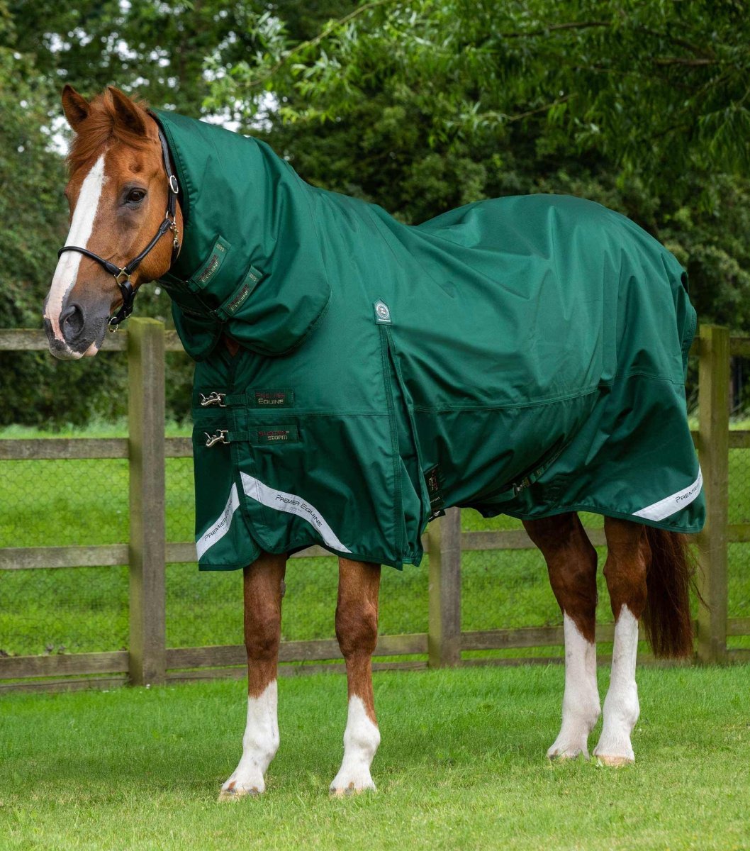 Buster Storm 220g Combo Turnout Rug with Classic Neck | PEI - Active Equine