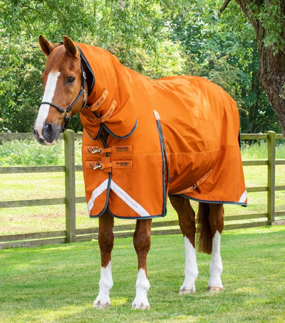 Buster Storm 400g Combo Turnout Rug with Classic Neck | PEI - Active Equine