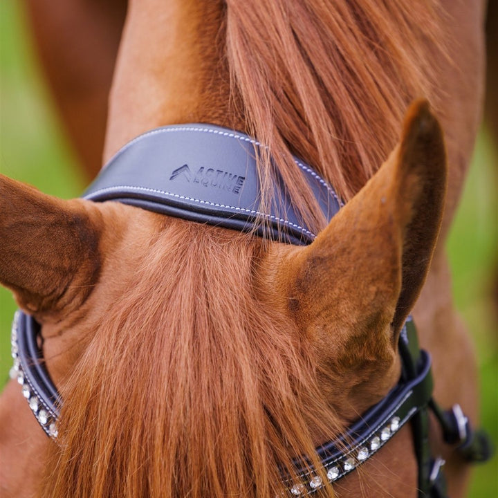 Comfort Show Bridle | Dressage - Active Equine