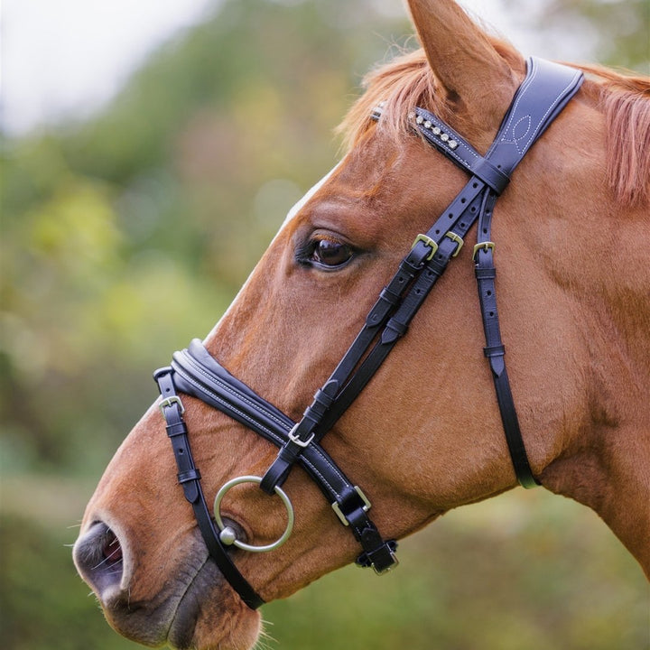 Comfort Show Bridle | Dressage - Active Equine