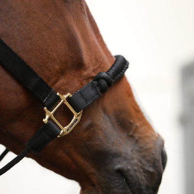 Control Halter Black (cob & full size) | Kentucky Horsewear - Active Equine