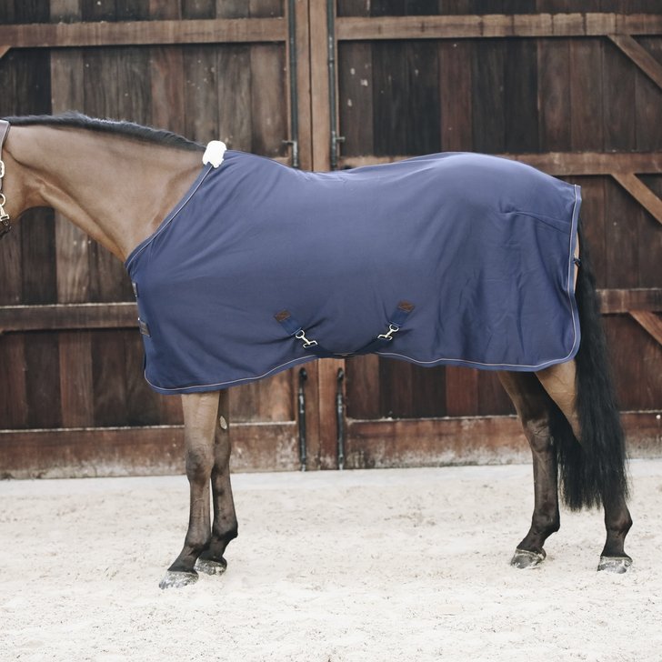 Show Rug Horse | Kentucky Horsewear - Active Equine