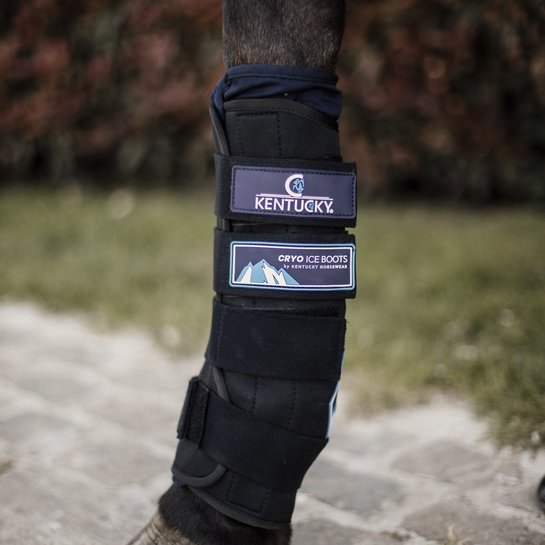 Ice Boot For Horses | Cryo | Kentucky Horsewear – Active Equine