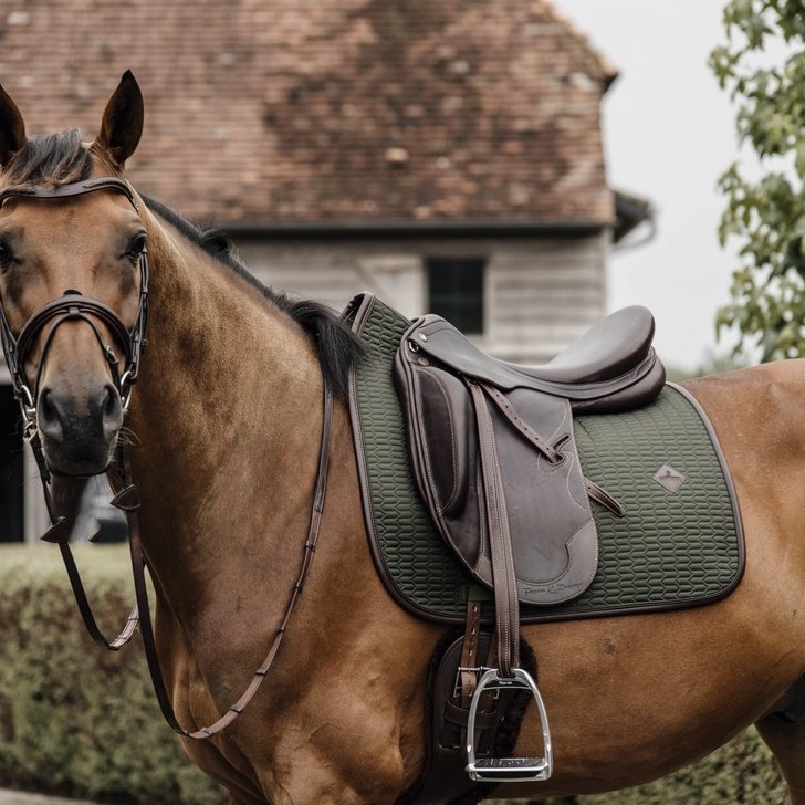 Dressage Saddle Pad Colour Edition | Kentucky Horsewear - Active Equine