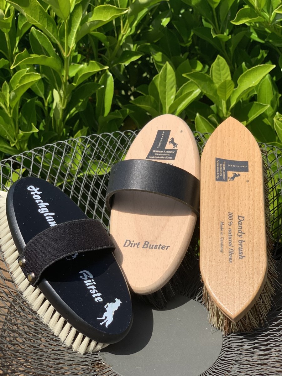 Everyday Horse Grooming Trio Kit Leistner Active Equine