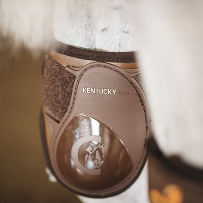 Fetlock Boots for Young Horses | Kentucky Horsewear - Active Equine