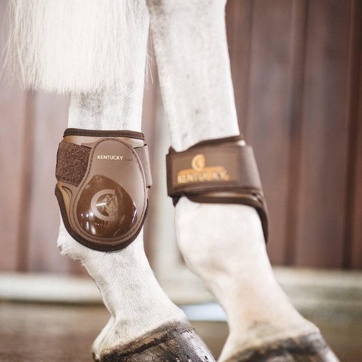 Fetlock Boots for Young Horses | Kentucky Horsewear - Active Equine