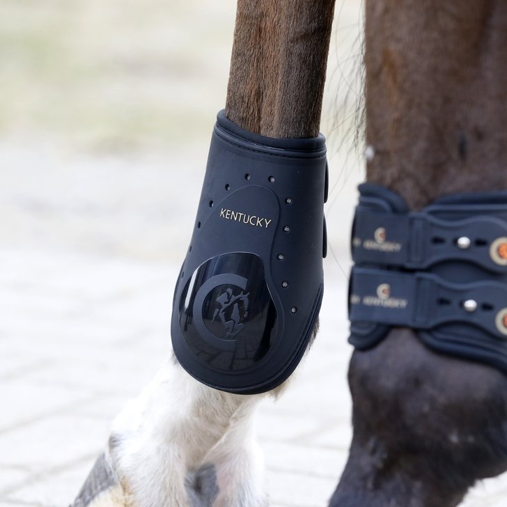 Fetlock Horse Boots Elastic | Kentucky Horsewear - Active Equine