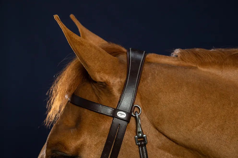 Flat Leather Bridle With Snap Hooks | Dyon - Active Equine