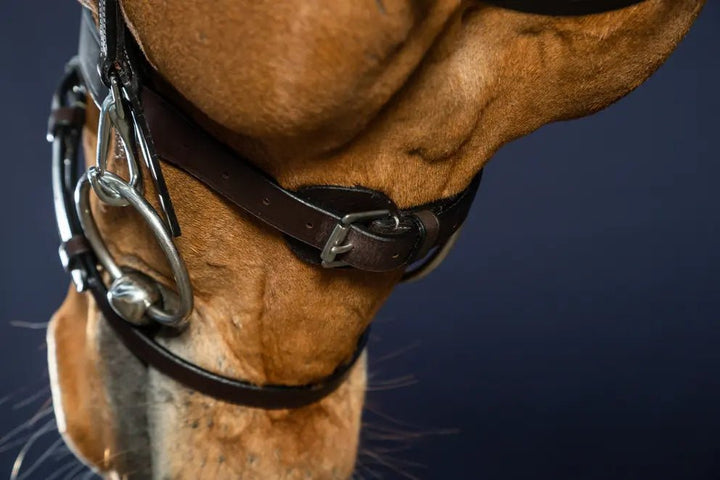 Flat Leather Bridle With Snap Hooks | Dyon - Active Equine