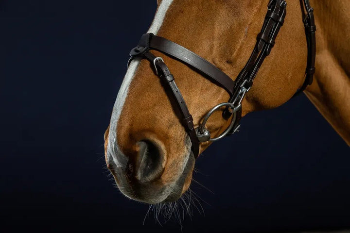 Flat Leather Bridle With Snap Hooks | Dyon - Active Equine