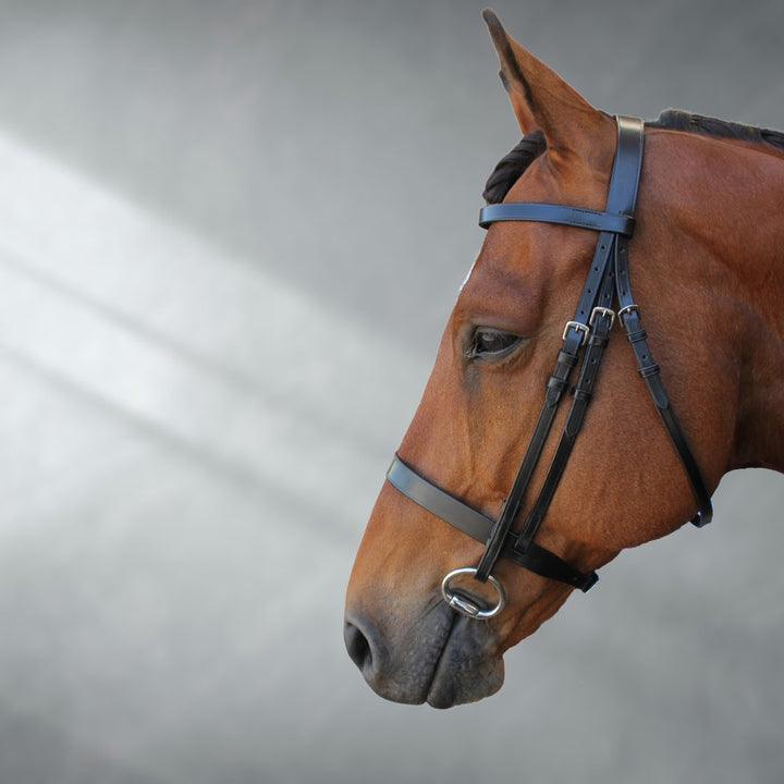 Flat Show Bridle (hunter & hack) + Bonus Bridle Bag | Active Equine - Active Equine