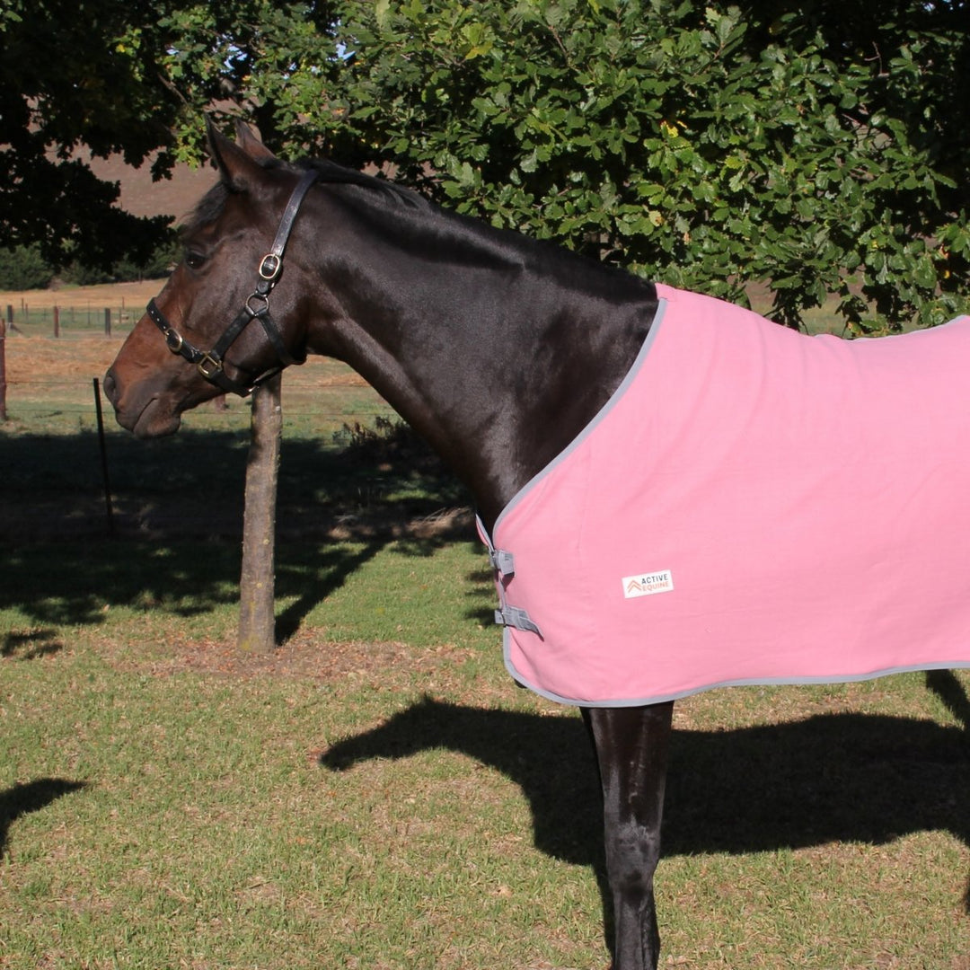 Fleece Horse Rug and Combo Rug | Active Equine - Active Equine