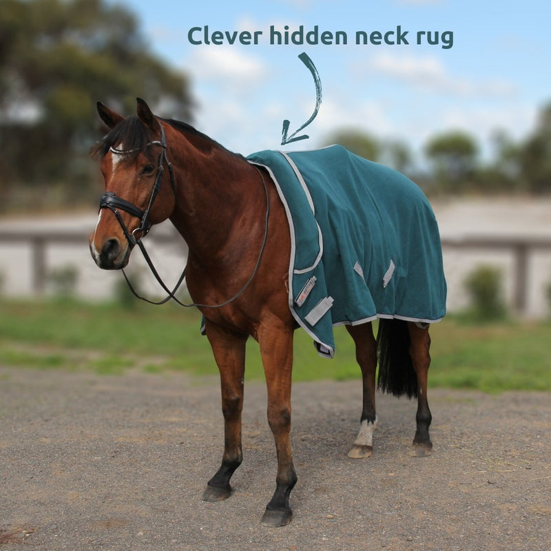 FREEDOM Horse Rug Convertible 300g | Active Equine - Active Equine