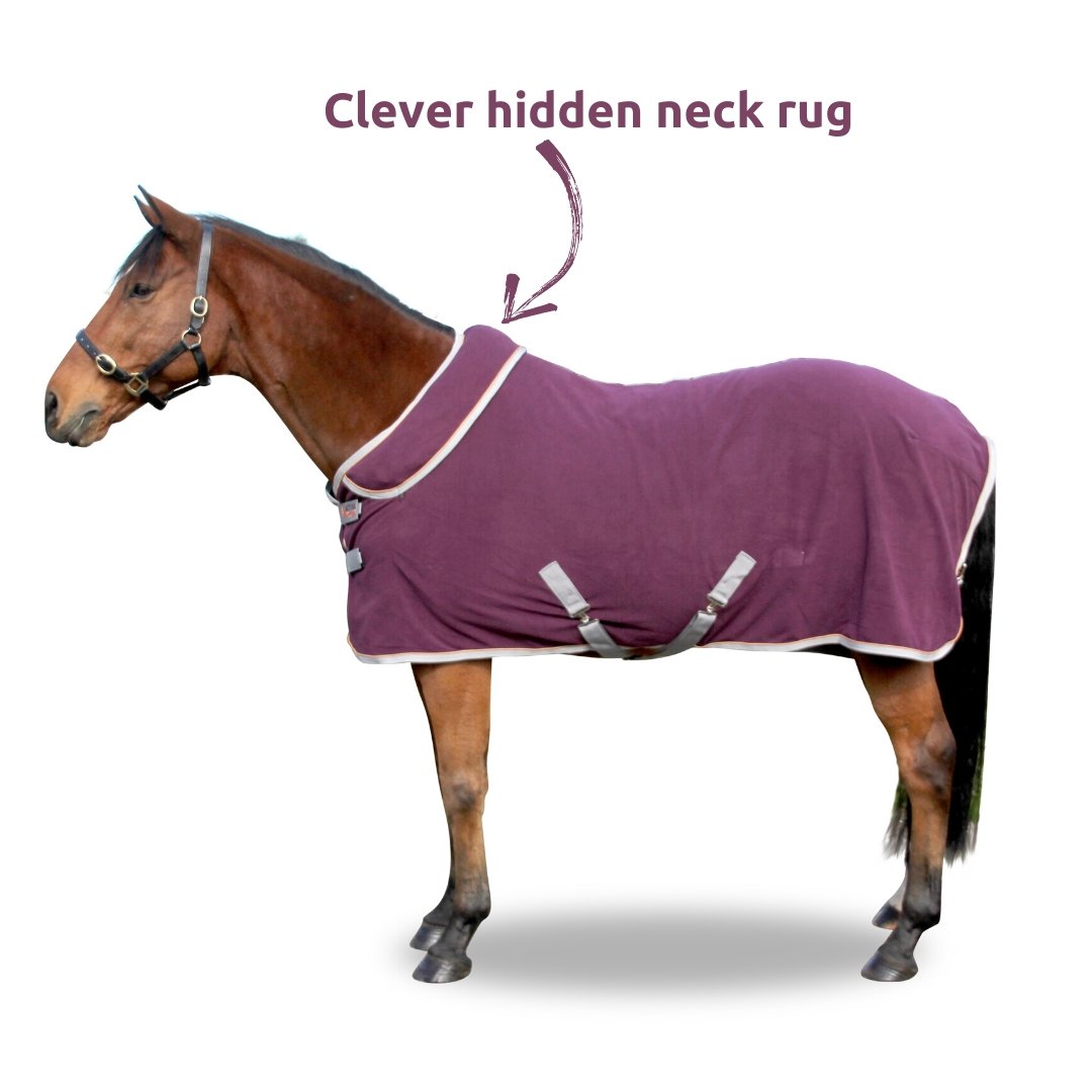 FREEDOM Horse Rug Convertible 300g | Active Equine - Active Equine