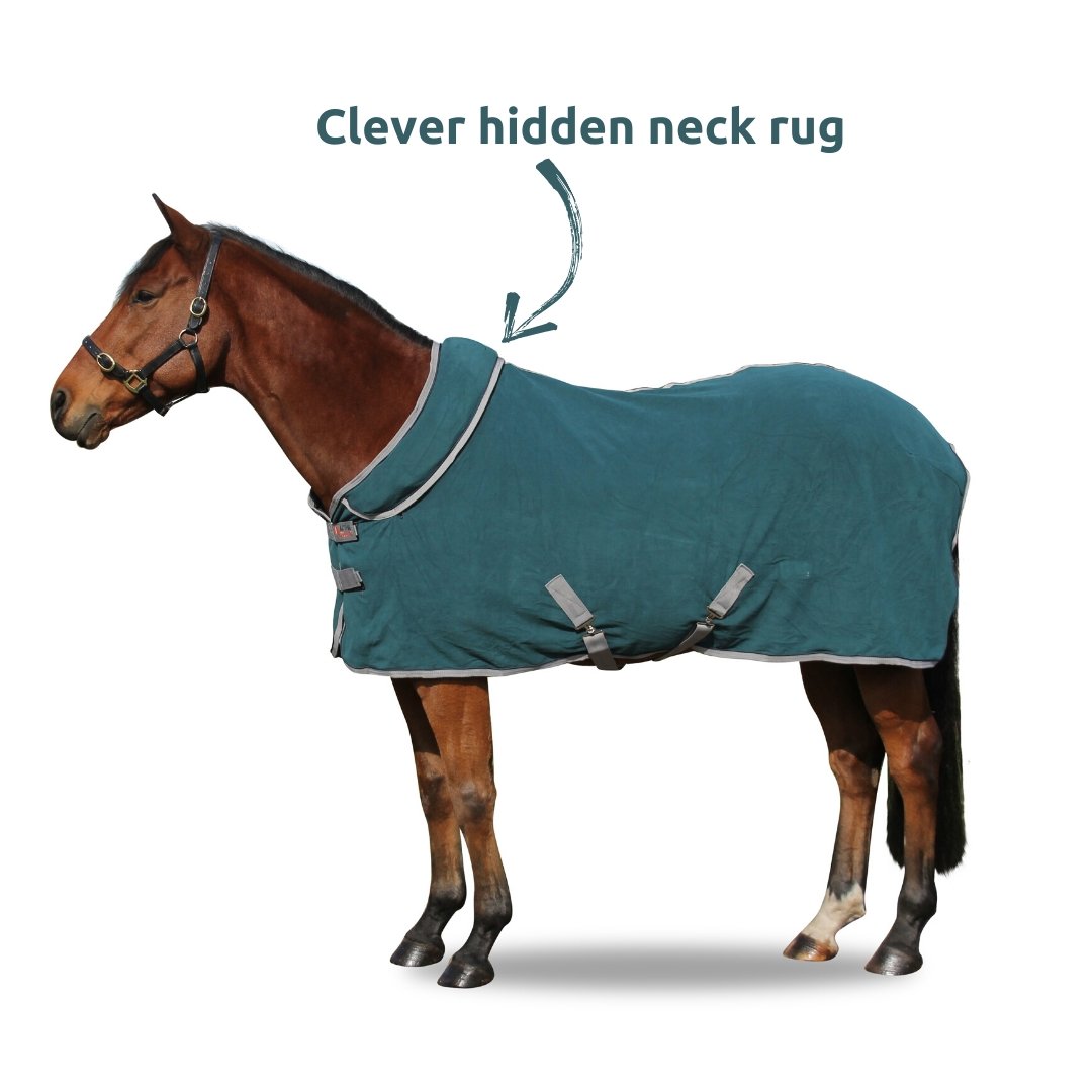 FREEDOM Horse Rug Convertible 300g | Active Equine - Active Equine