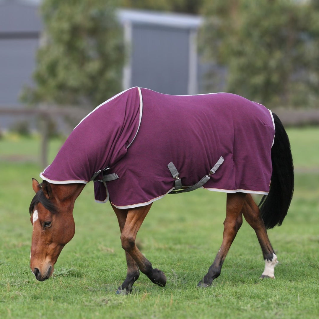 FREEDOM Horse Rug Convertible 300g | Active Equine - Active Equine