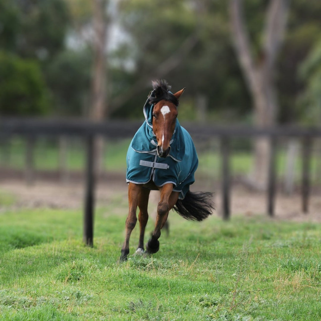 FREEDOM Horse Rug Convertible 300g | Active Equine - Active Equine