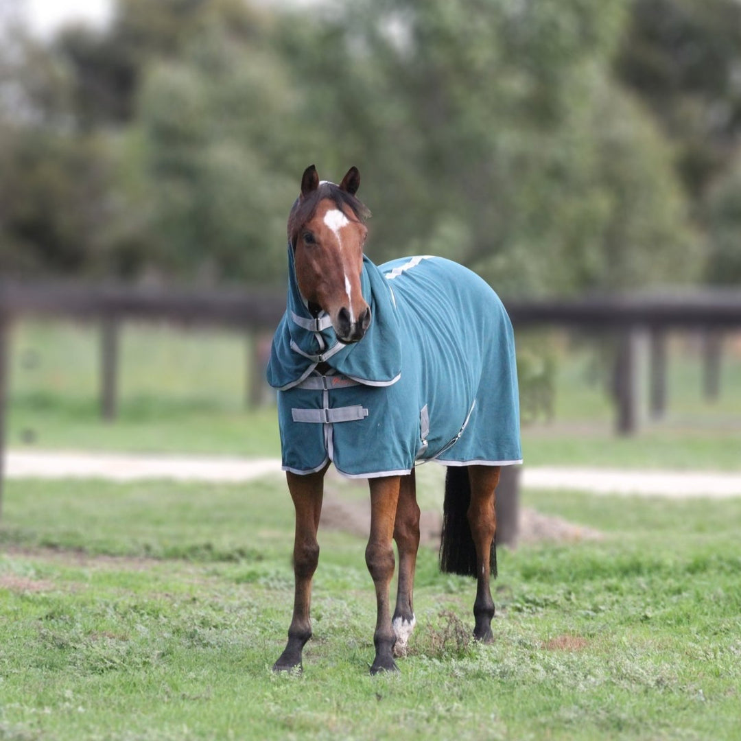 FREEDOM Horse Rug Convertible 300g | Active Equine - Active Equine