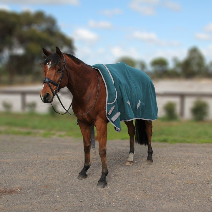 FREEDOM Horse Rug Convertible 300g | Active Equine - Active Equine