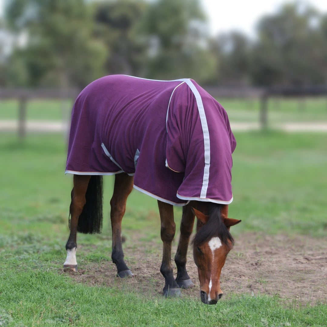 FREEDOM Horse Rug Convertible 300g | Active Equine - Active Equine