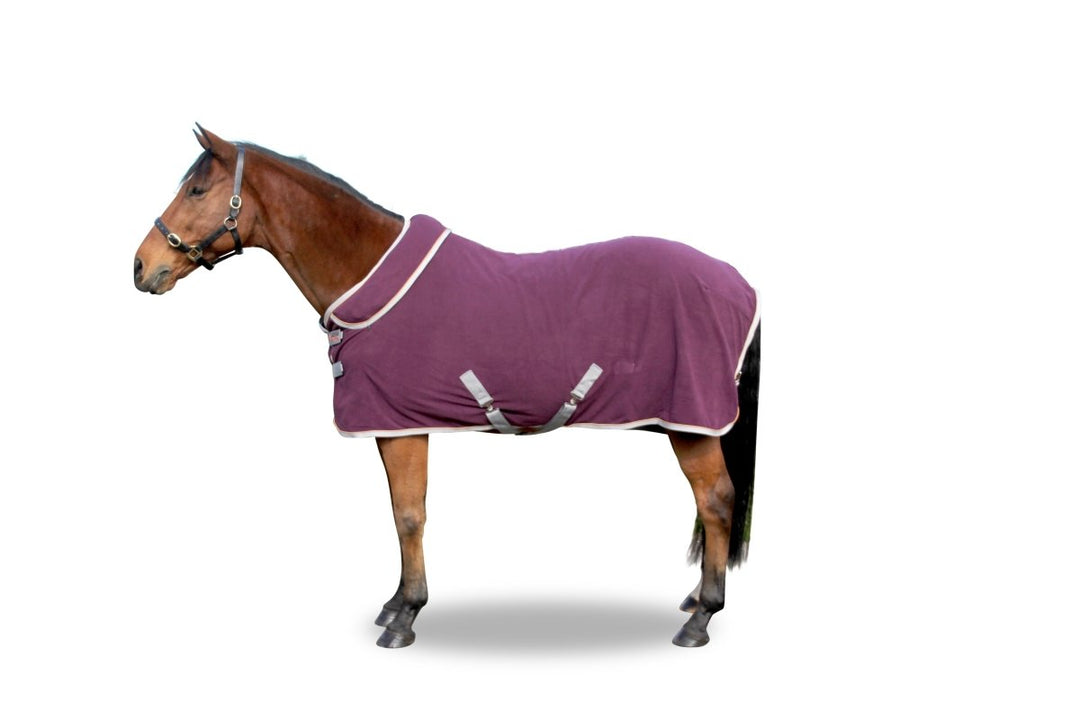 FREEDOM Horse Rug Convertible 300g | Active Equine - Active Equine