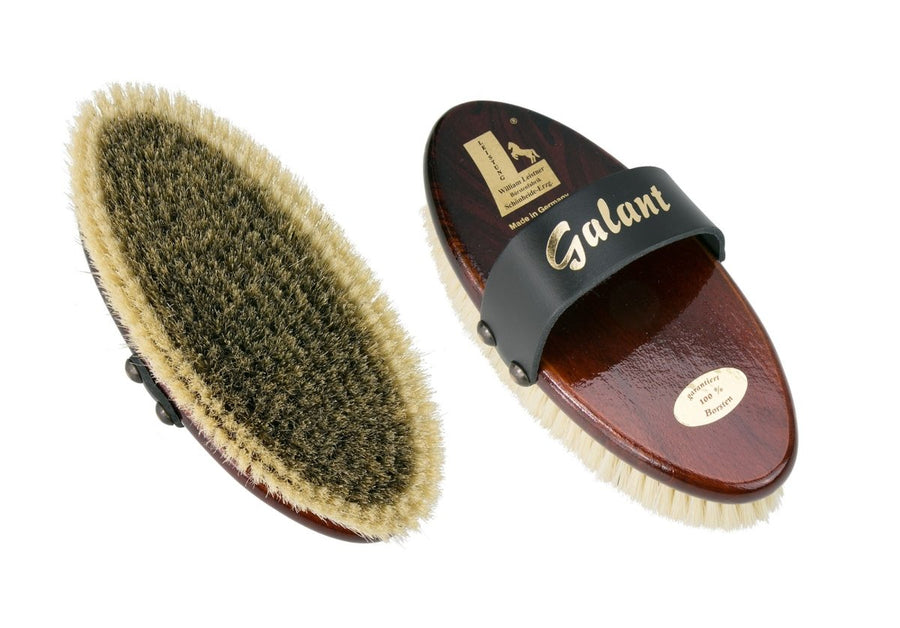 Horse Brush Galant (all-round brush) | Leistner - Active Equine