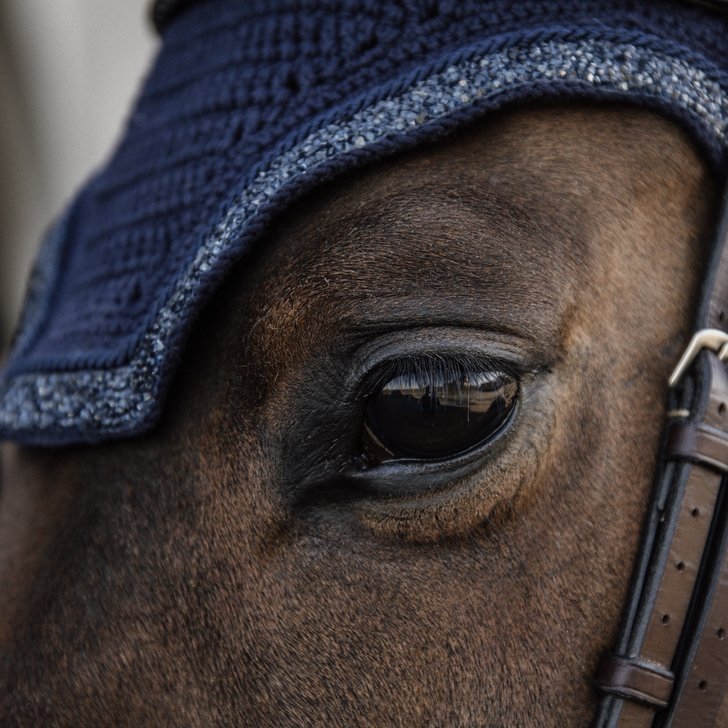 Glitter Horse Fly Veil (two colours) | Kentucky Horsewear - Active Equine