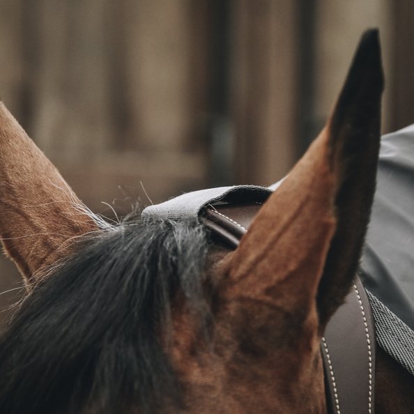 Horse Raincoat (Show Rug) | Kentucky Horsewear - Active Equine
