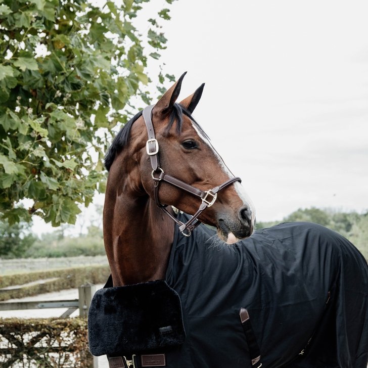 Horse Rug Bib (Chest Protection) | Kentucky Horsewear - Active Equine