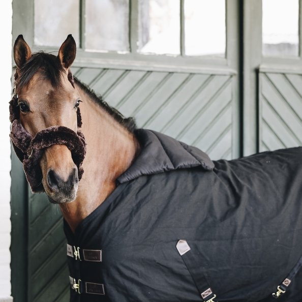 Horse Rug Bib (Summer) | Kentucky Horsewear - Active Equine
