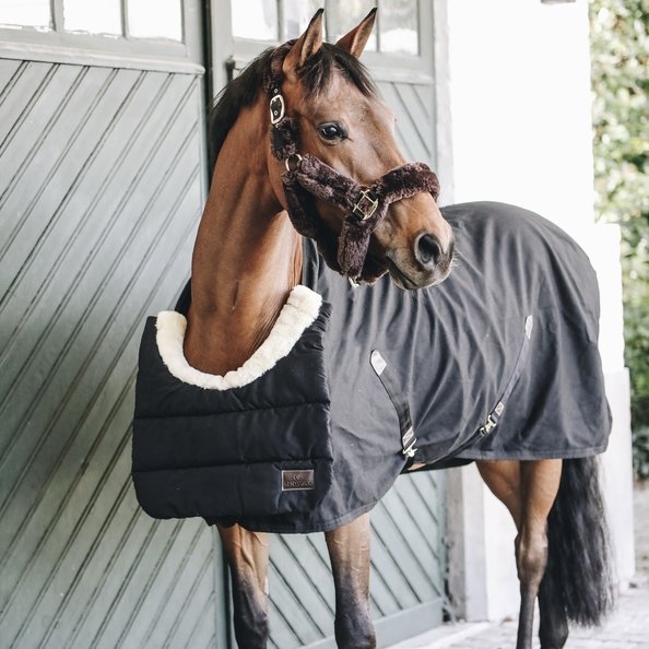 Horse Rug Bib (winter) | Kentucky Horsewear - Active Equine