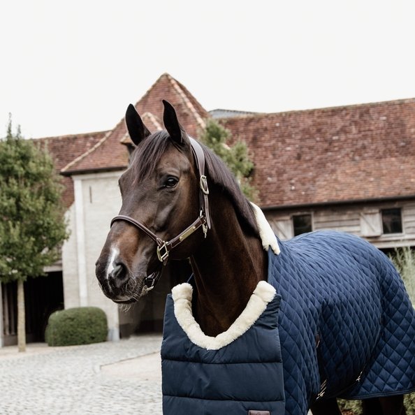 Horse Rug Bib (winter) | Kentucky Horsewear - Active Equine